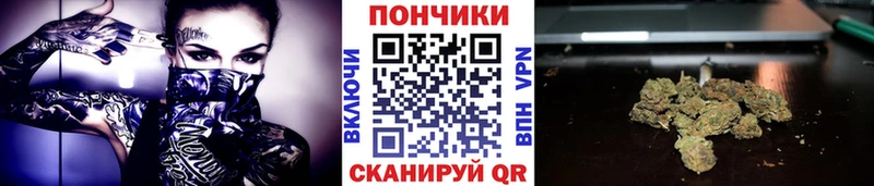 Канабис сатива  магазин  наркотиков  Назрань 